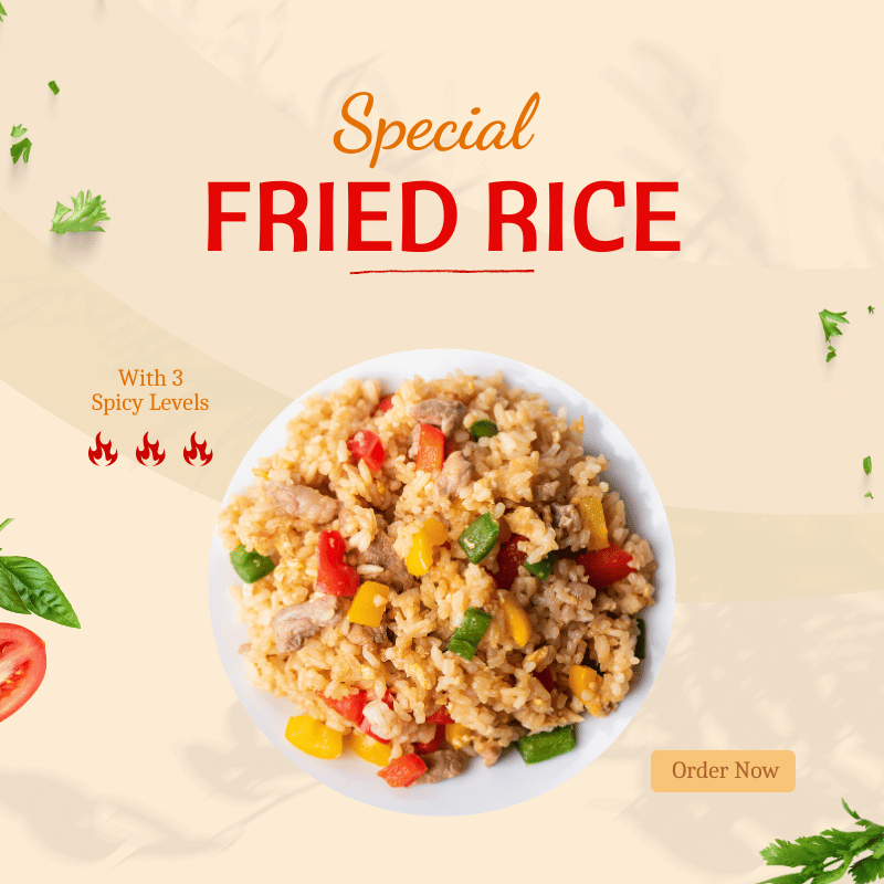 Special Fried Rice